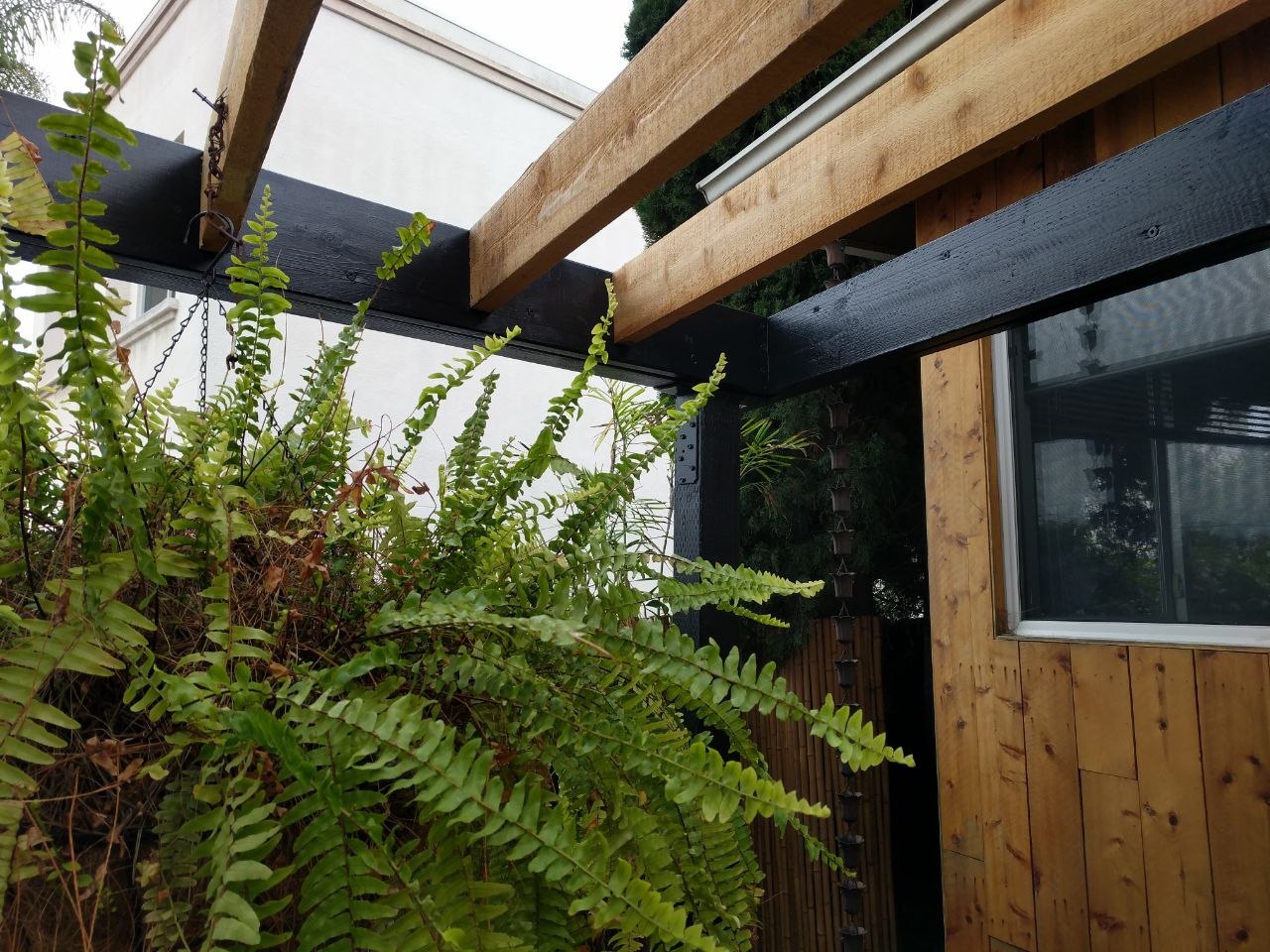 Finished Japanese-inspired pergola with lush hanging ferns